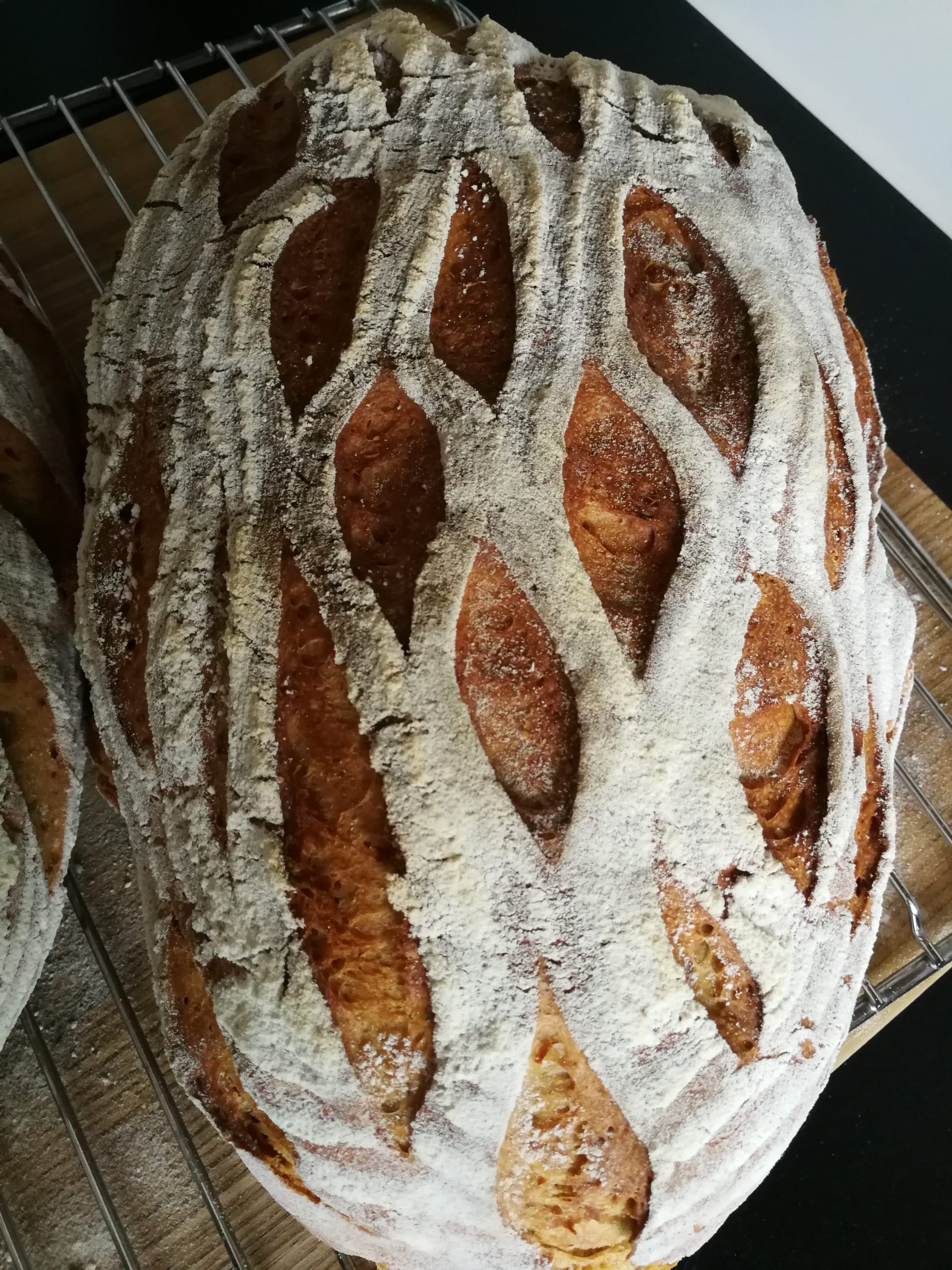 Schnelles Kartoffelbrot - brotfrohlein