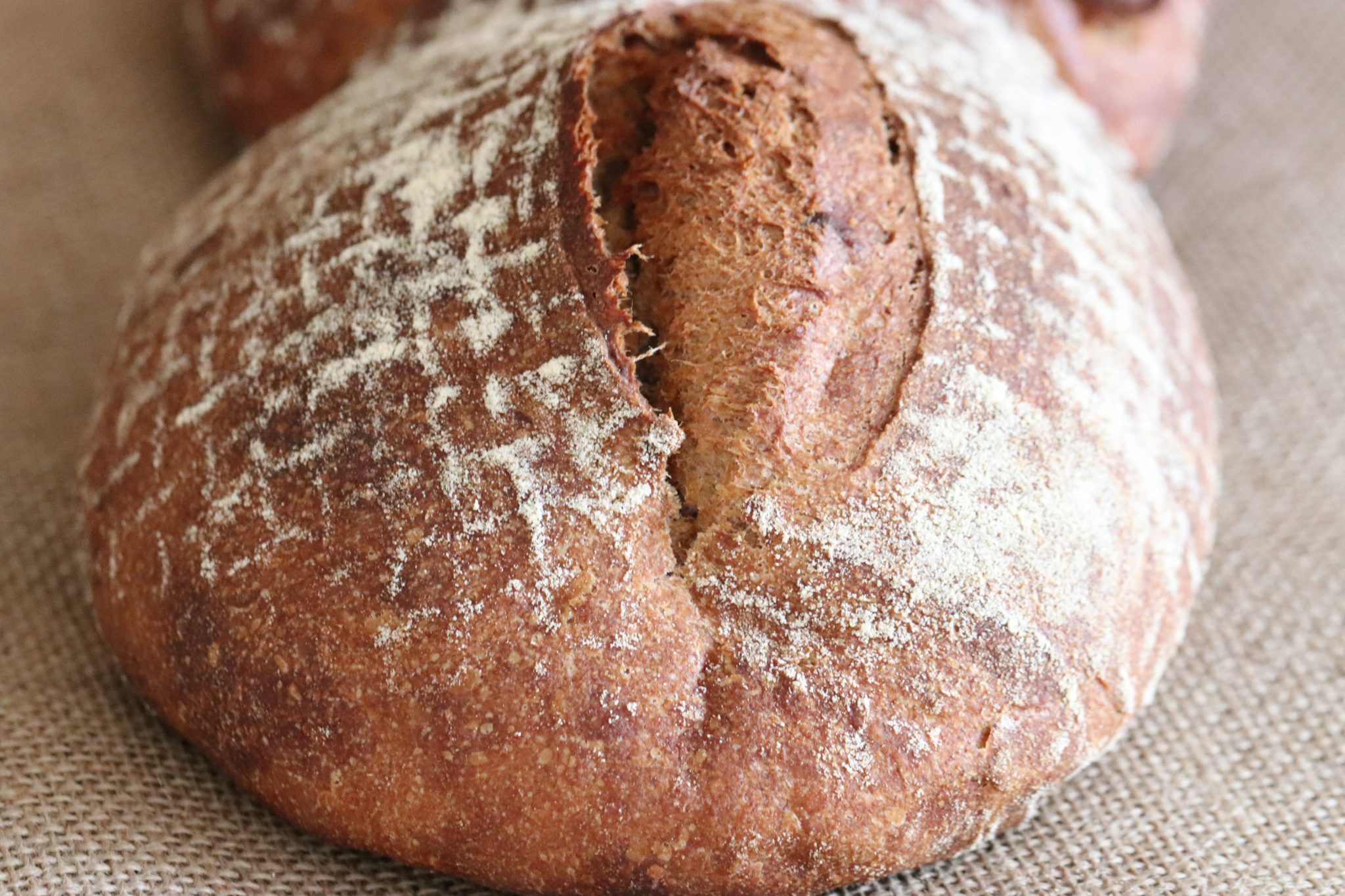 &amp;quot;Hülfeee, kein Brot mehr da!&amp;quot;- BROT oder Kartoffel-Walnuss-Kruste ...